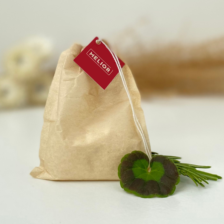 Eco HandWash Subscription | Green Living Products | MELIOR